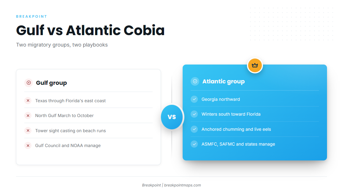 Infographic 1