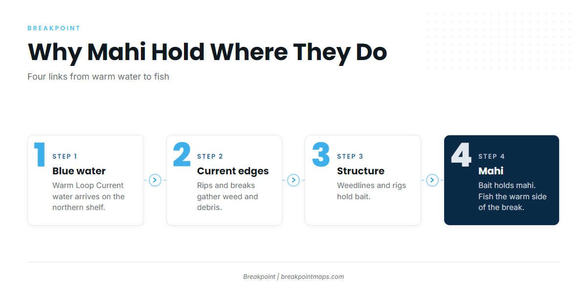 Infographic 1
