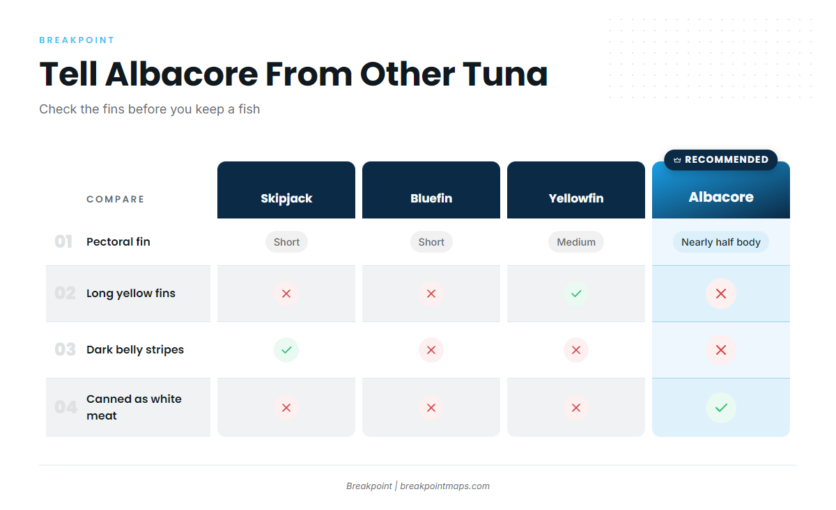 Infographic 1