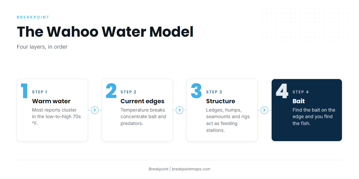 Infographic 2