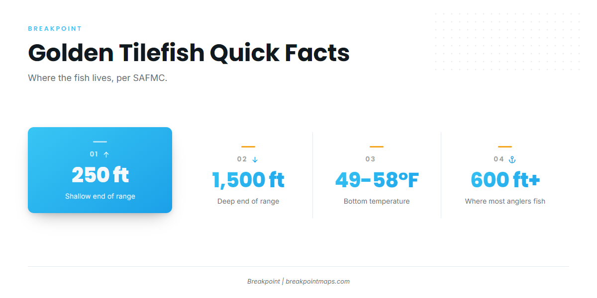 Infographic 2