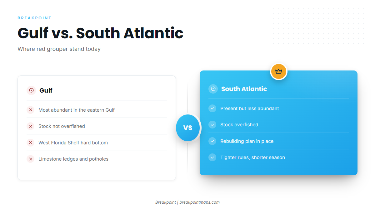 Infographic 2