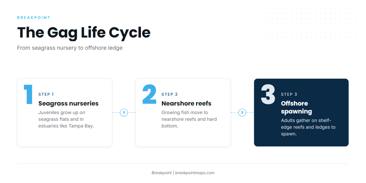 Infographic 2