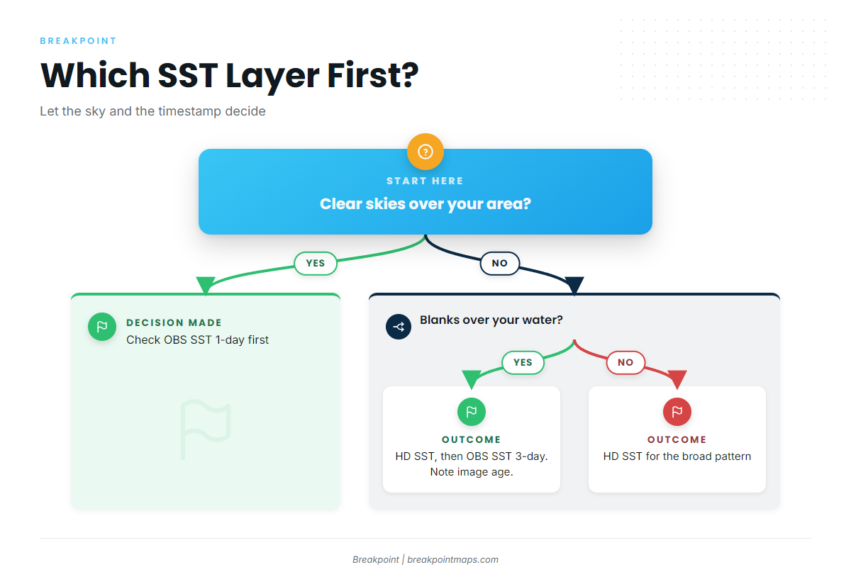 Infographic 2