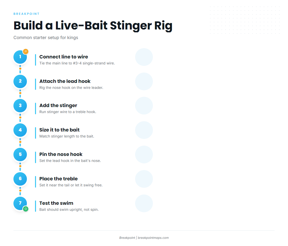 Infographic 2