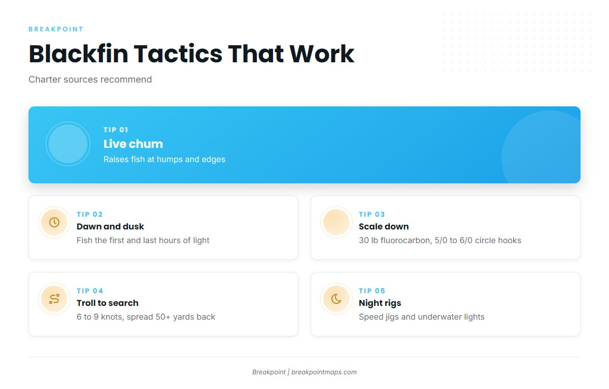 Infographic 2