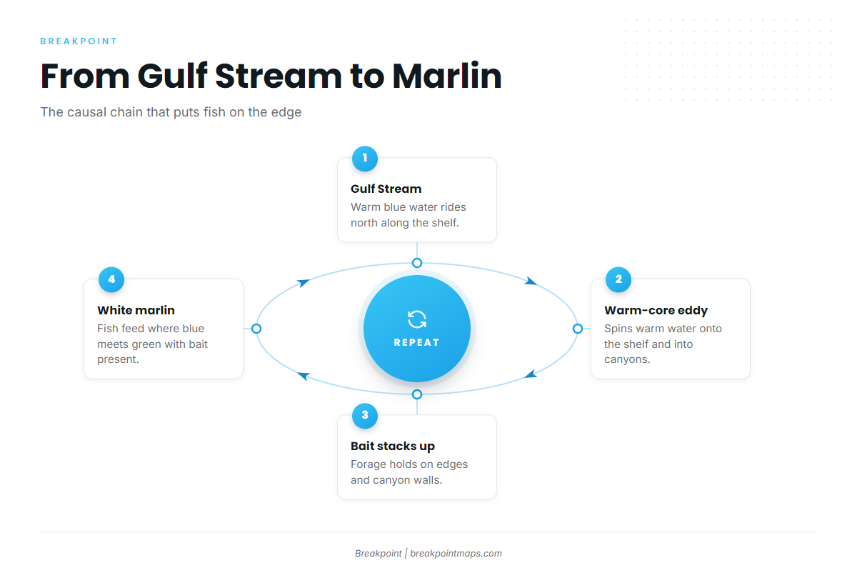 Infographic 2