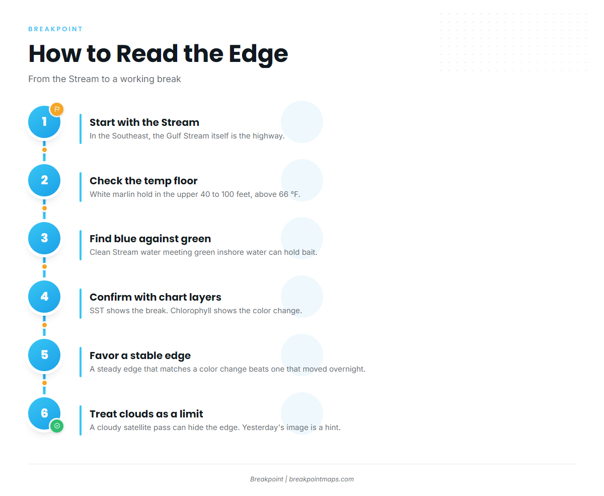 Infographic 2