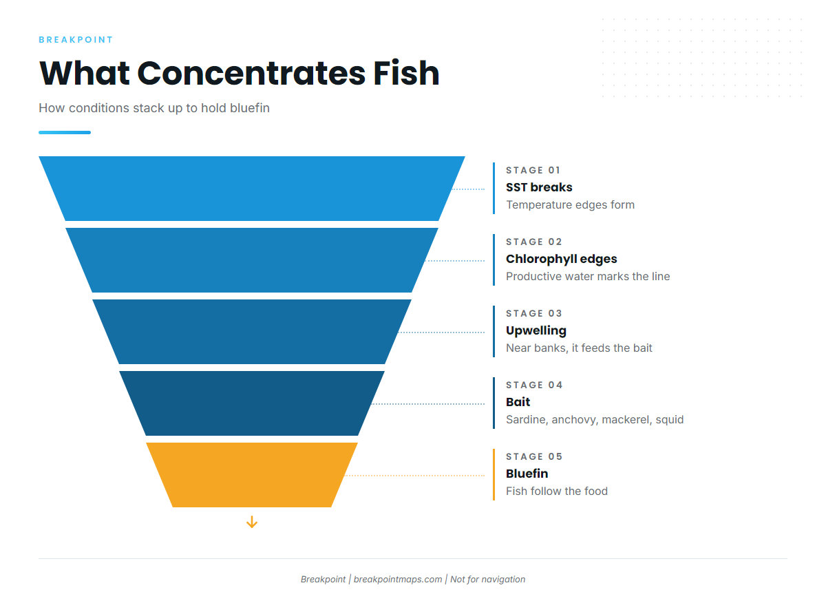 Infographic 2