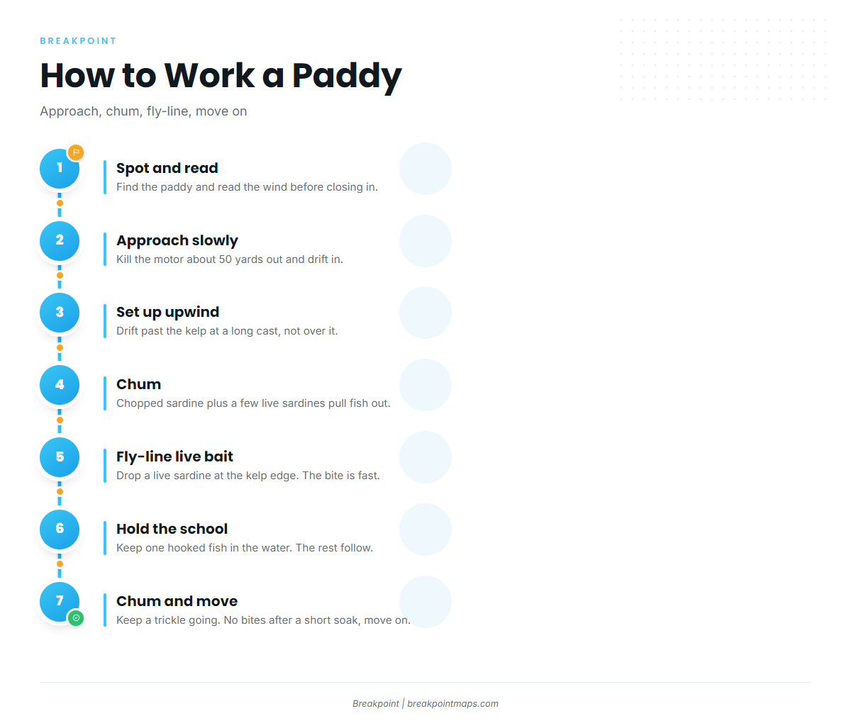 Infographic 2