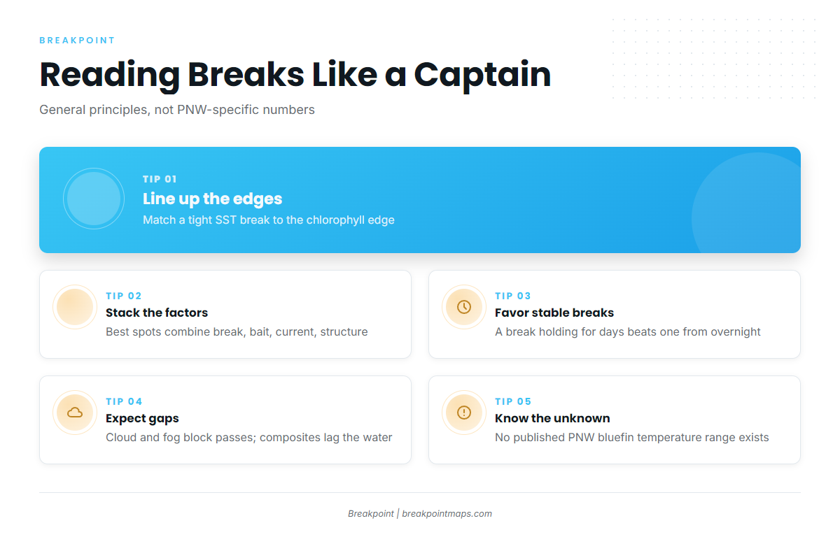 Infographic 2