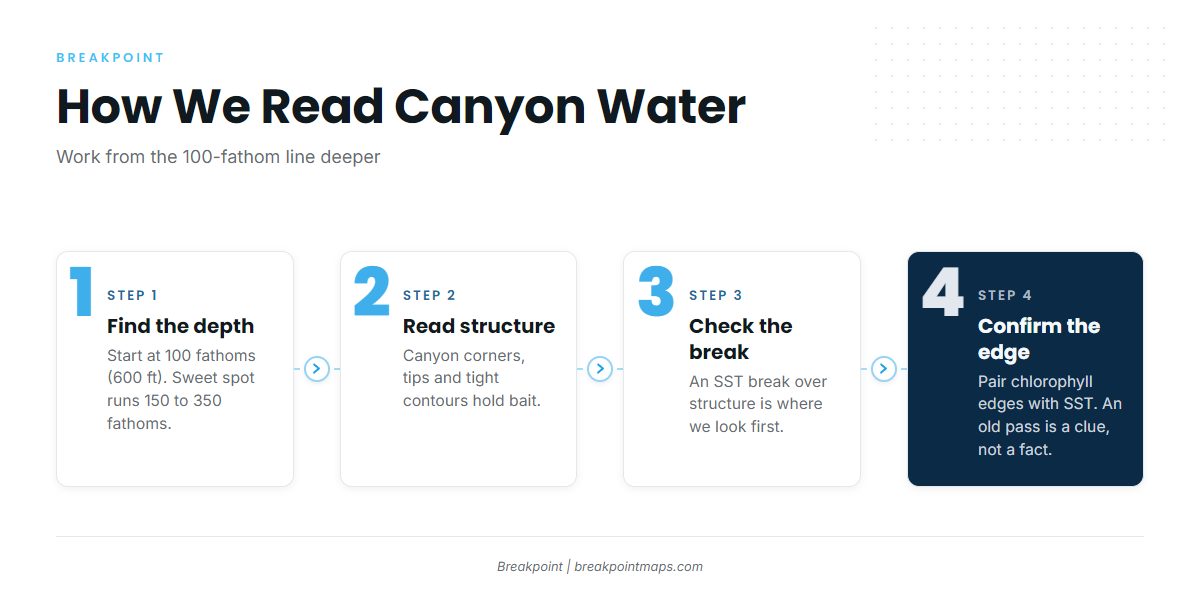 Infographic 2