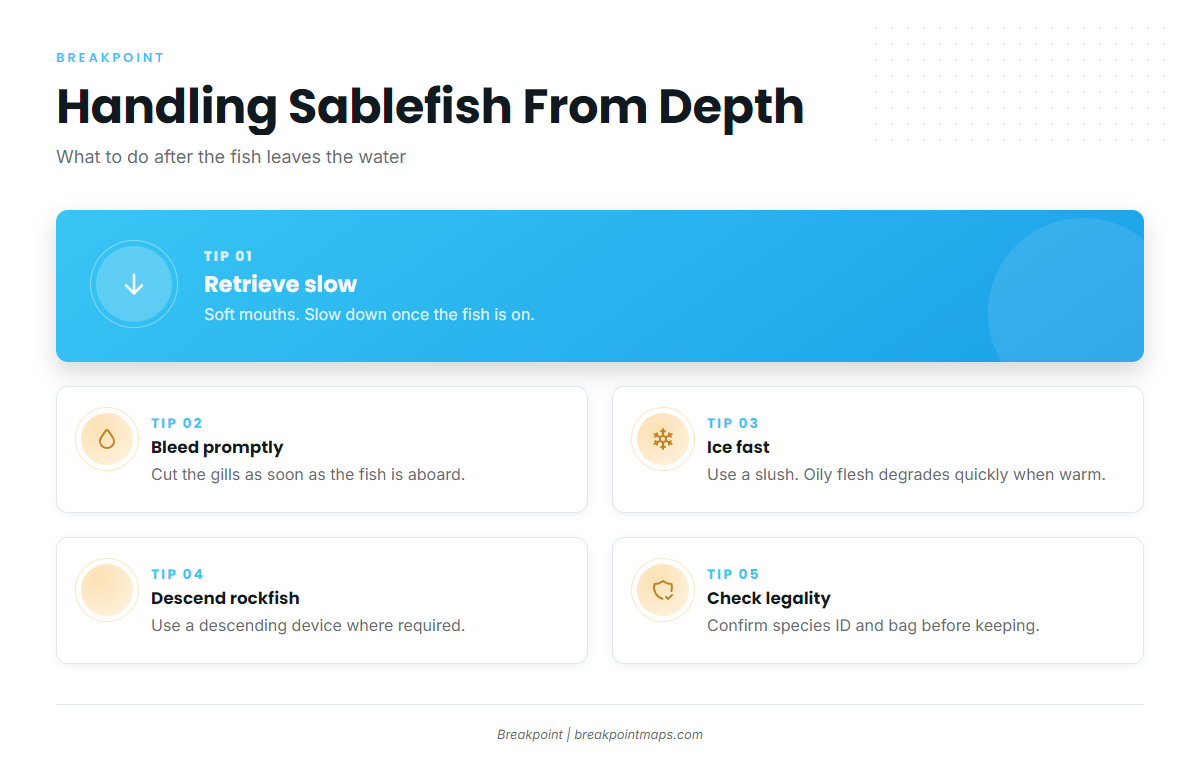 Infographic 2