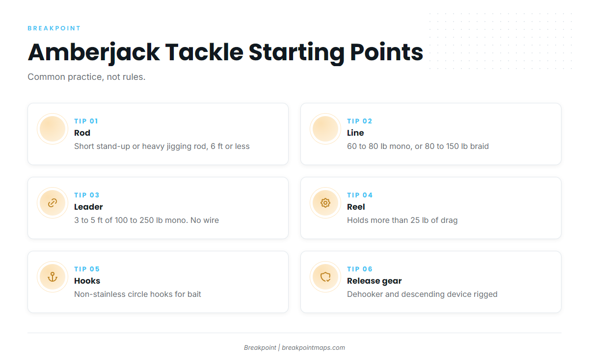 Infographic 2