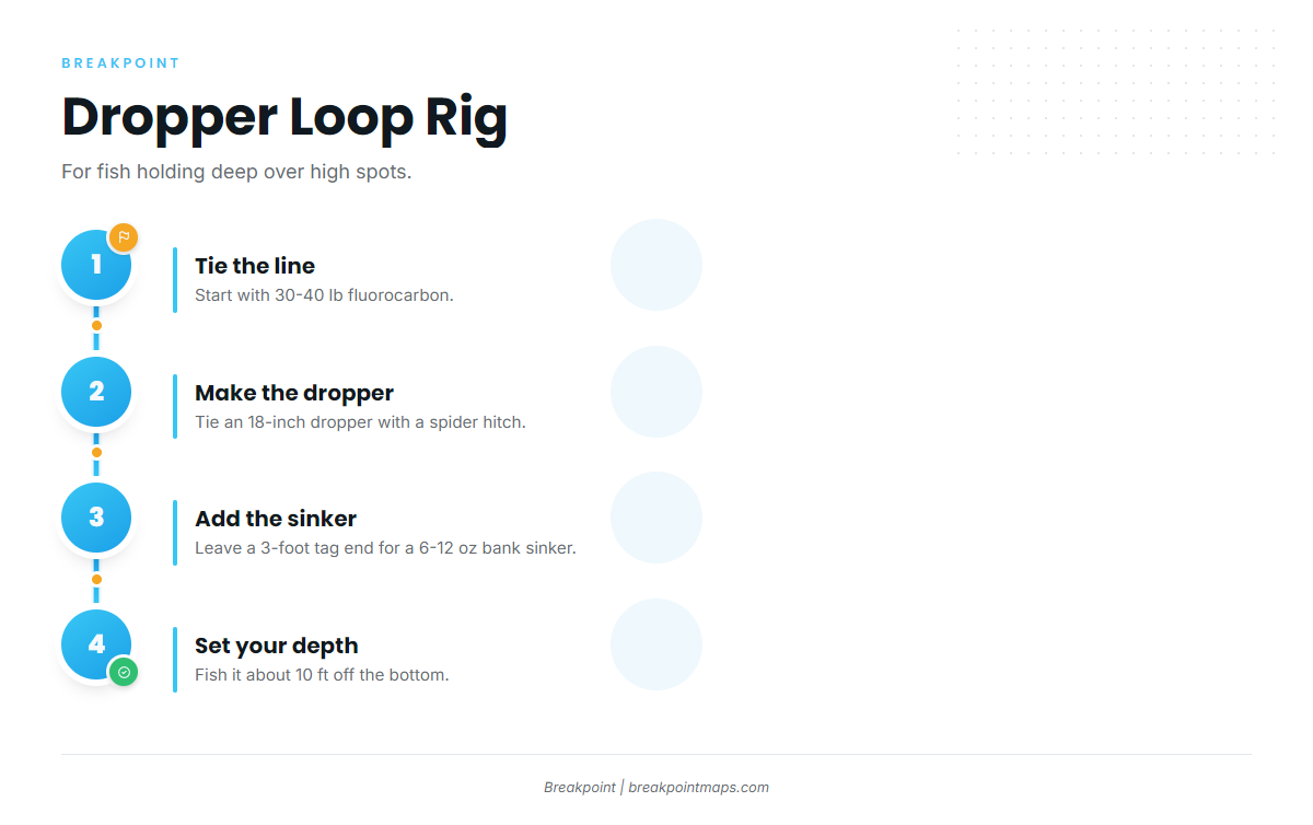 Infographic 3