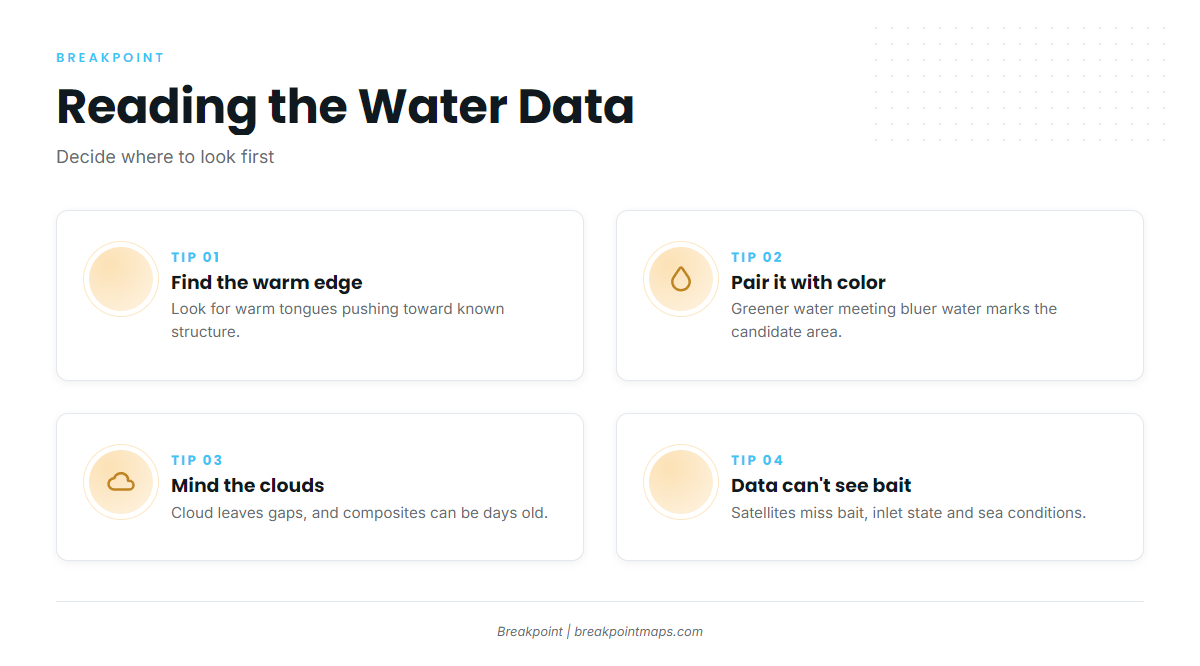 Infographic 3