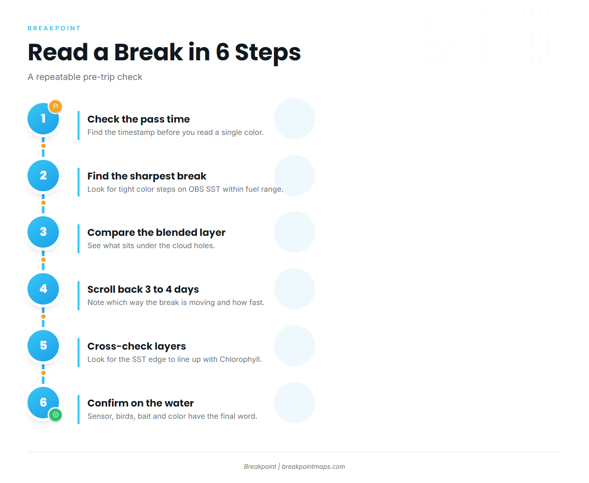Infographic 3
