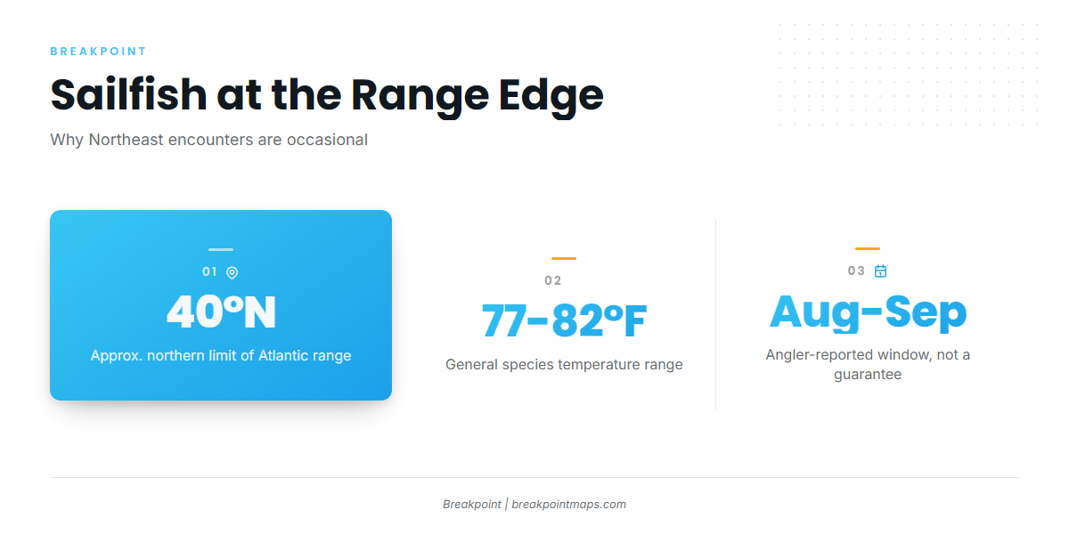 Infographic 3