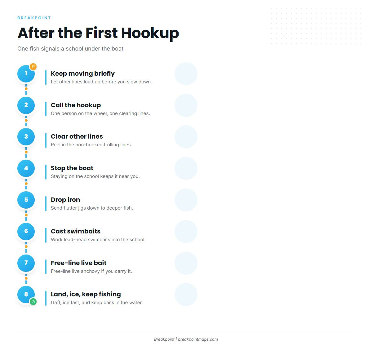 Infographic 3