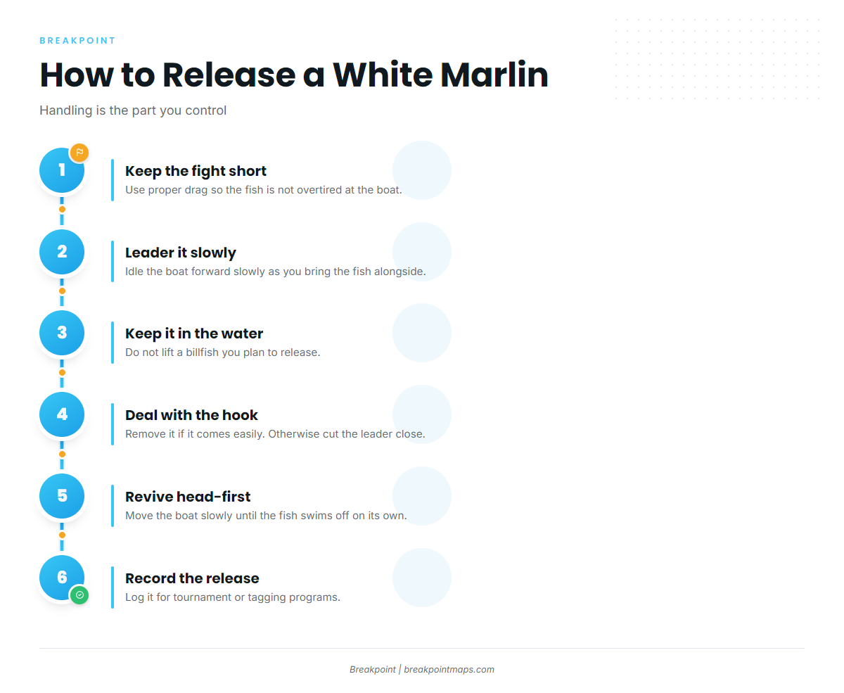 Infographic 3