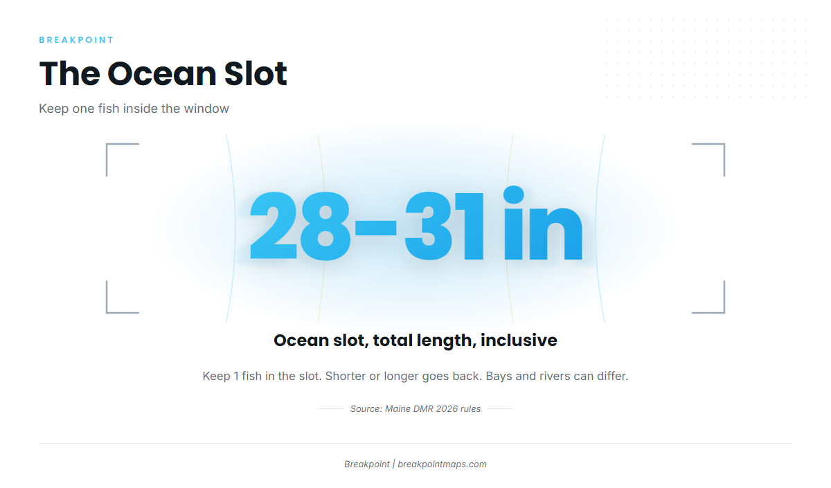 Infographic 3