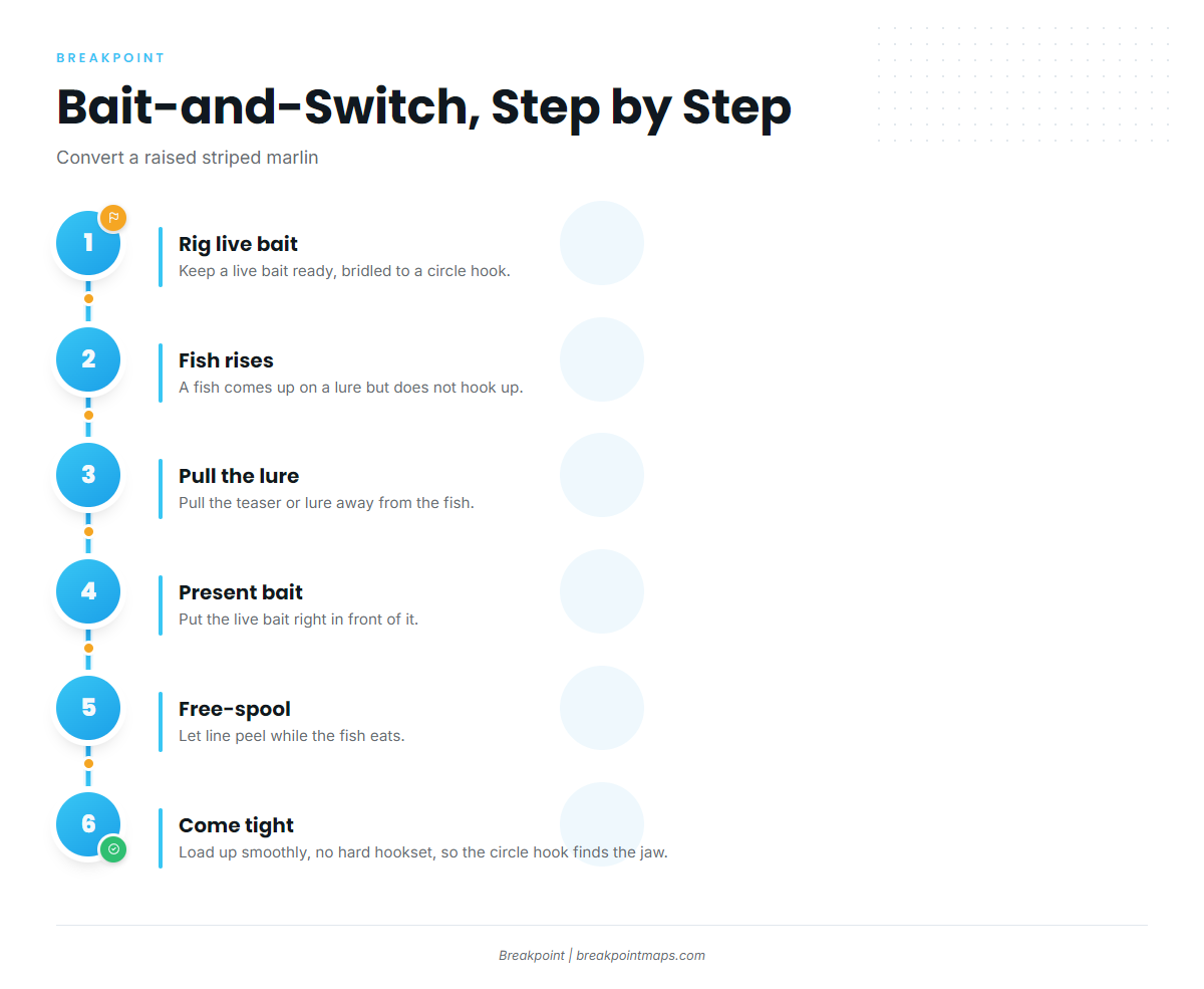 Infographic 3