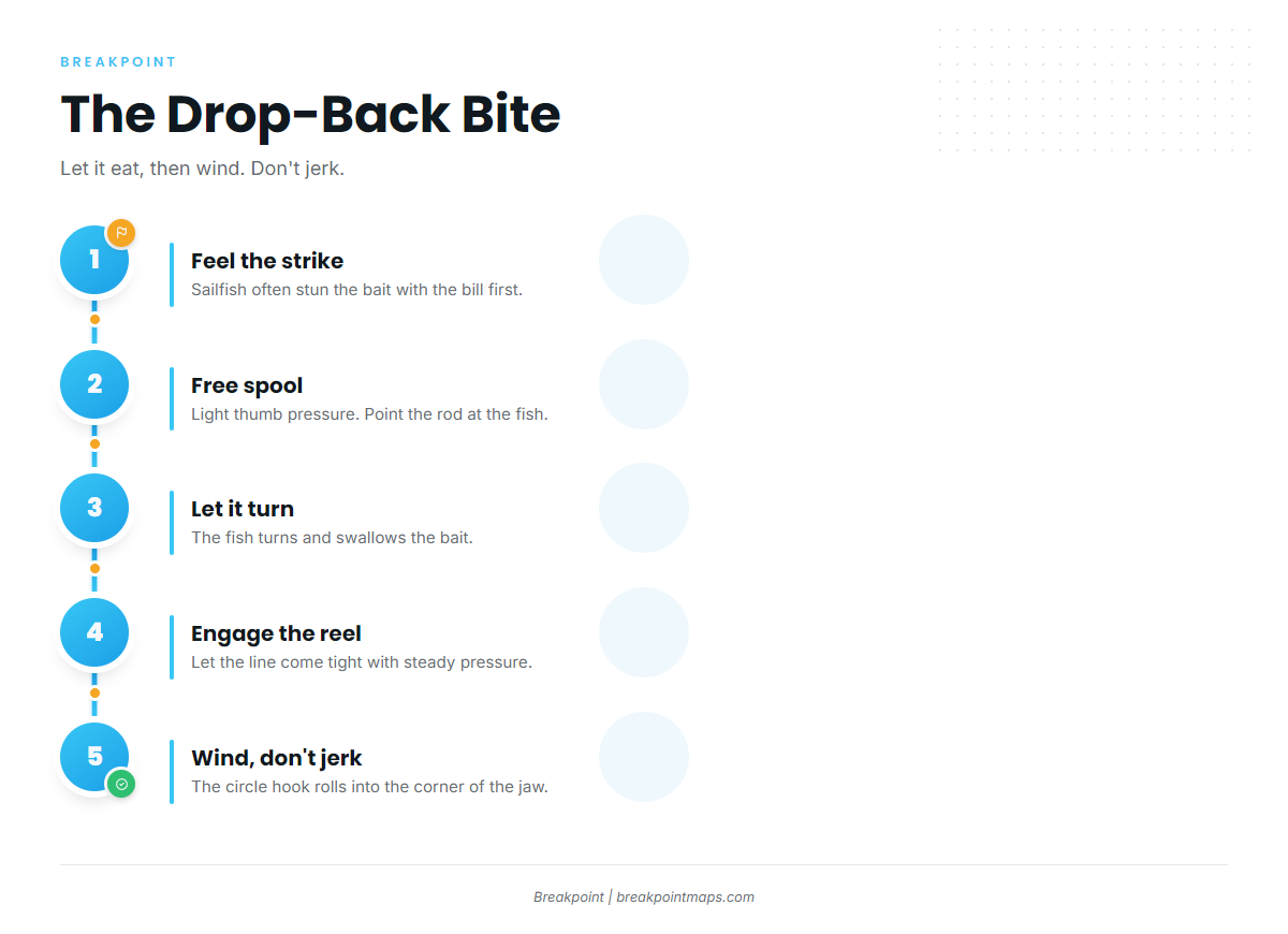 Infographic 3