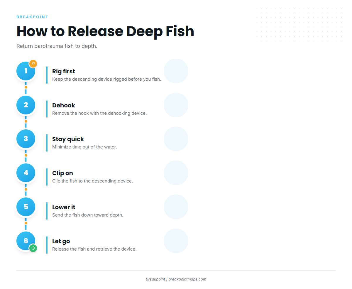 Infographic 3