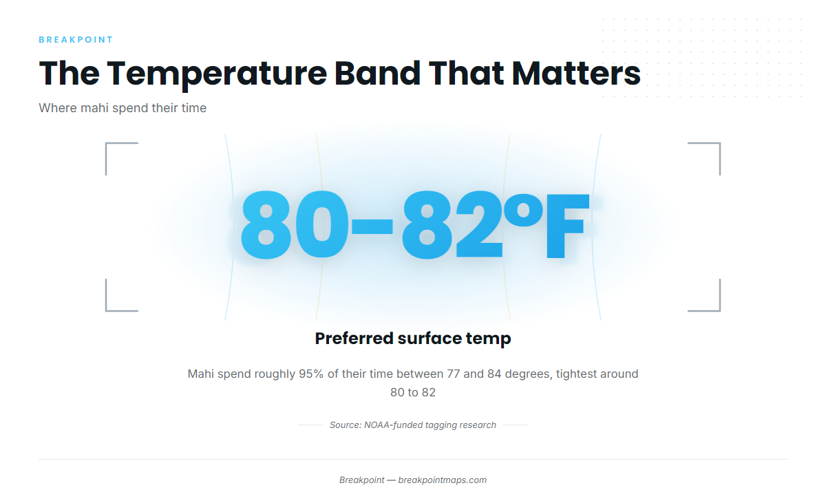 Infographic 3
