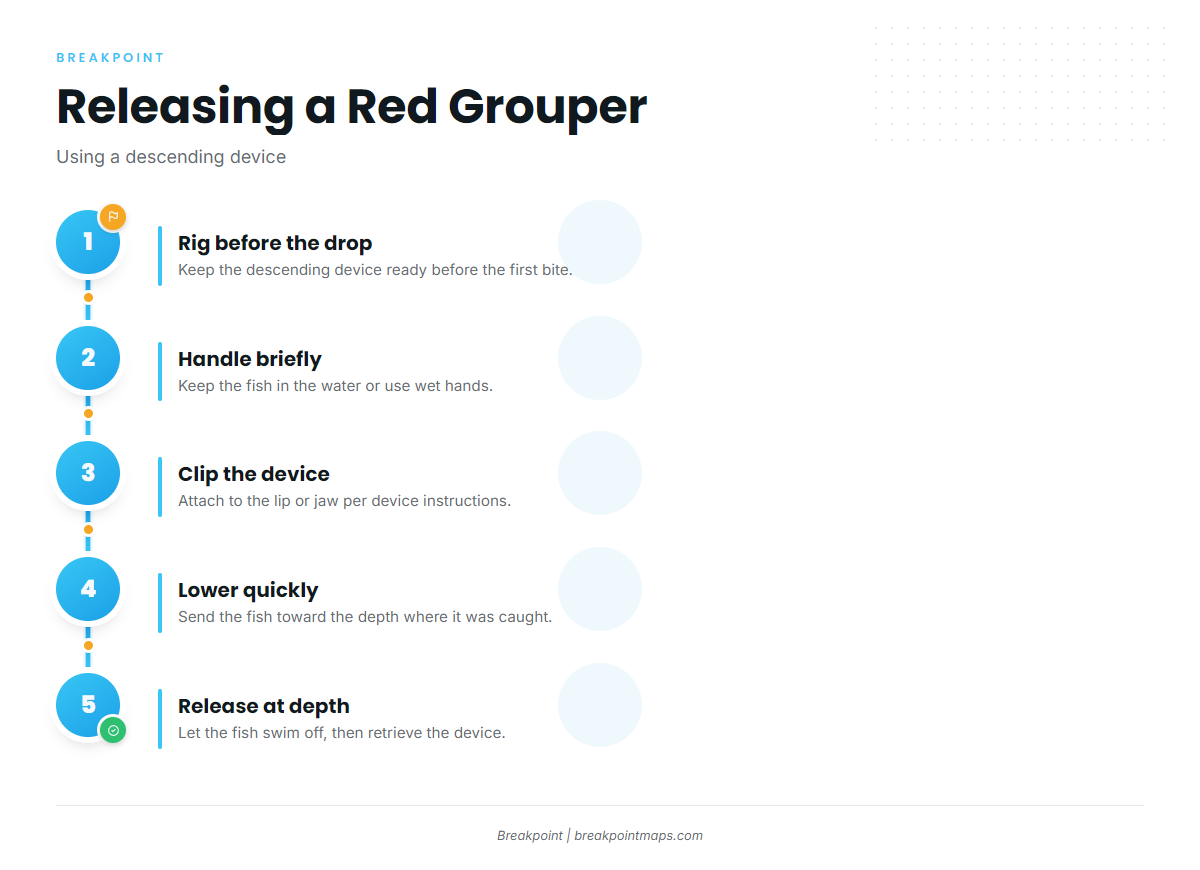 Infographic 4
