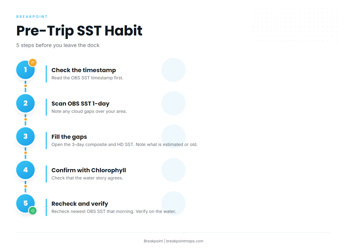 Infographic 4