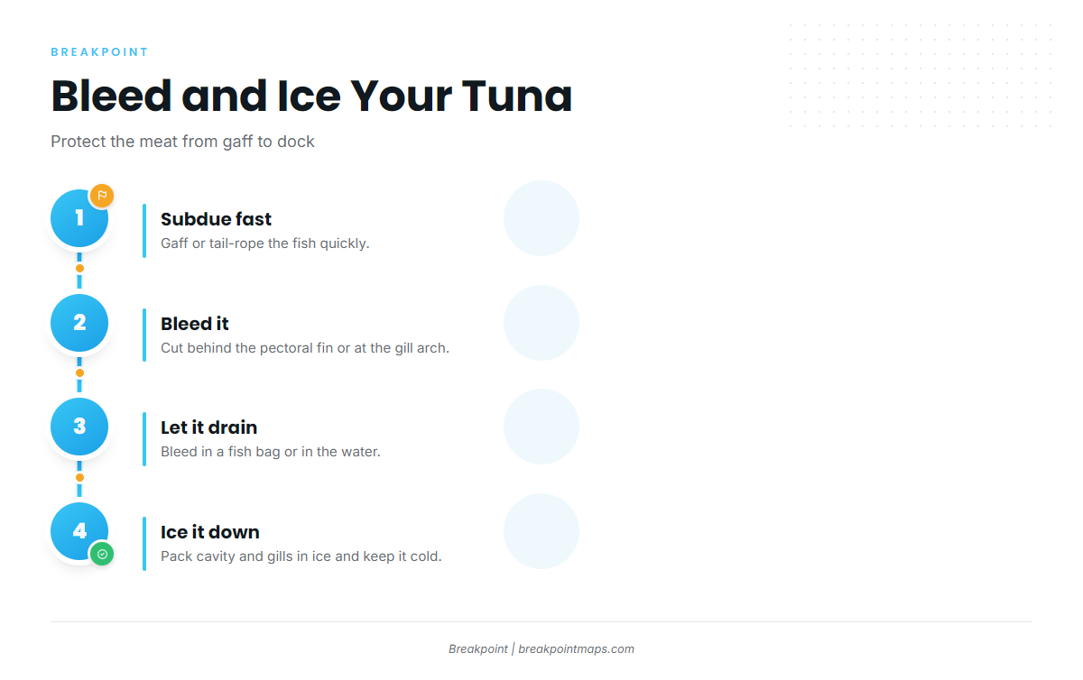 Infographic 4