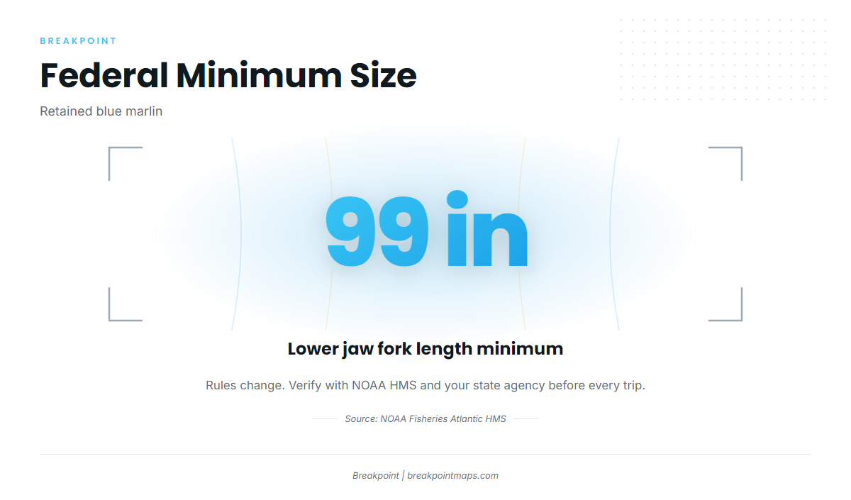 Infographic 4