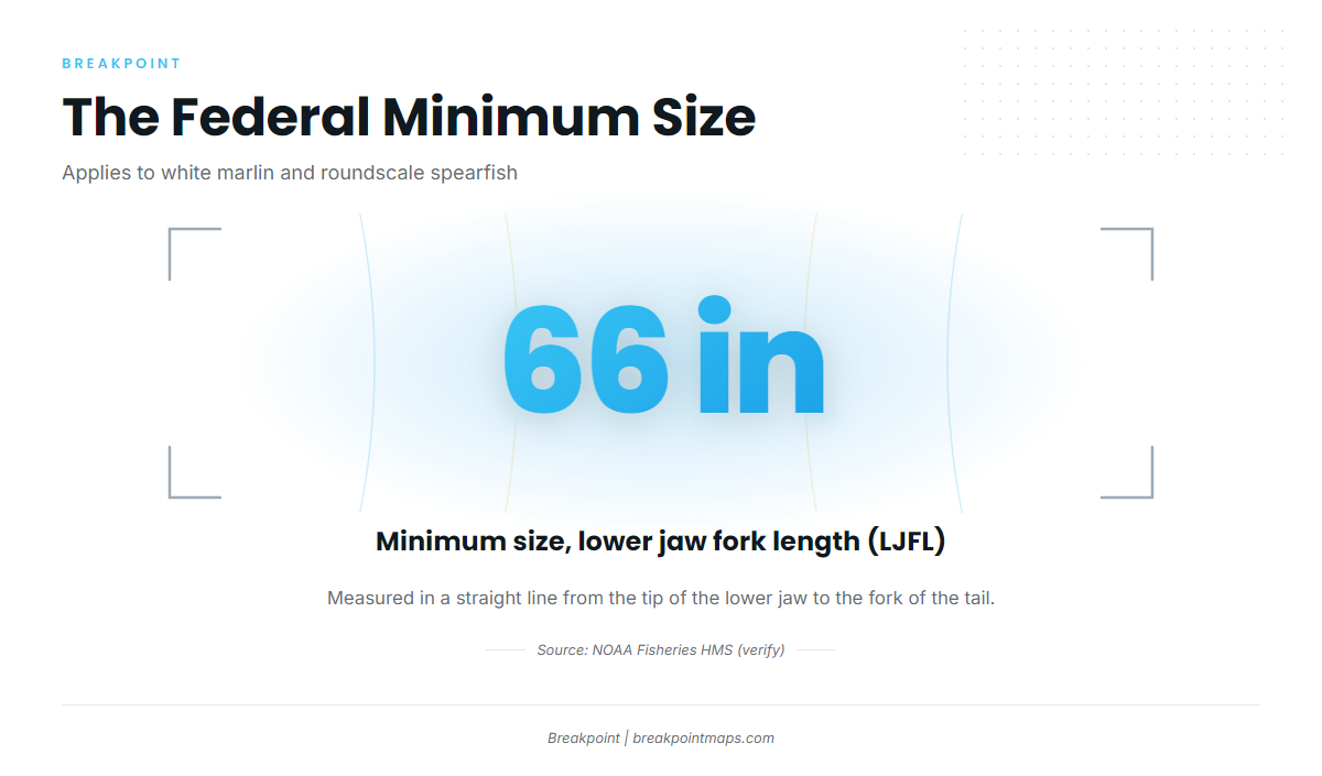 Infographic 4