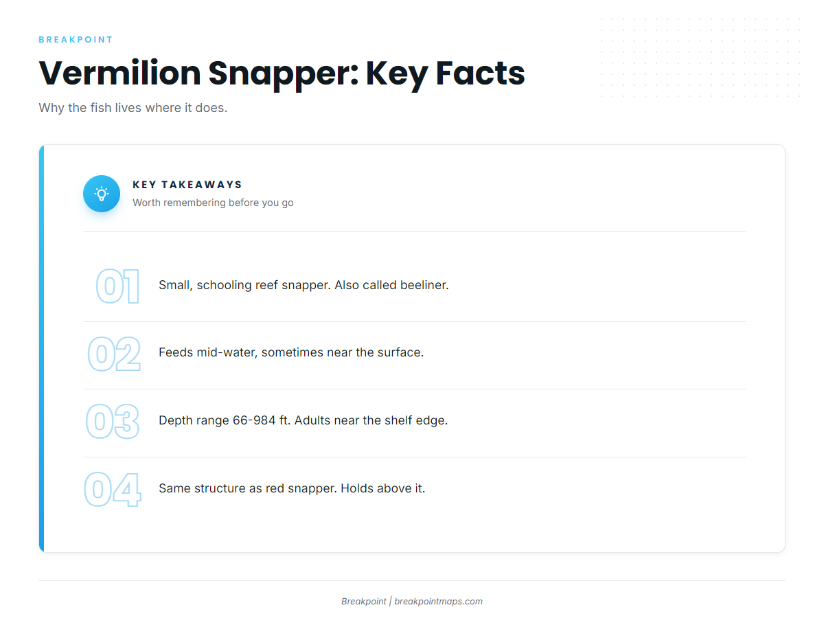 Infographic 4