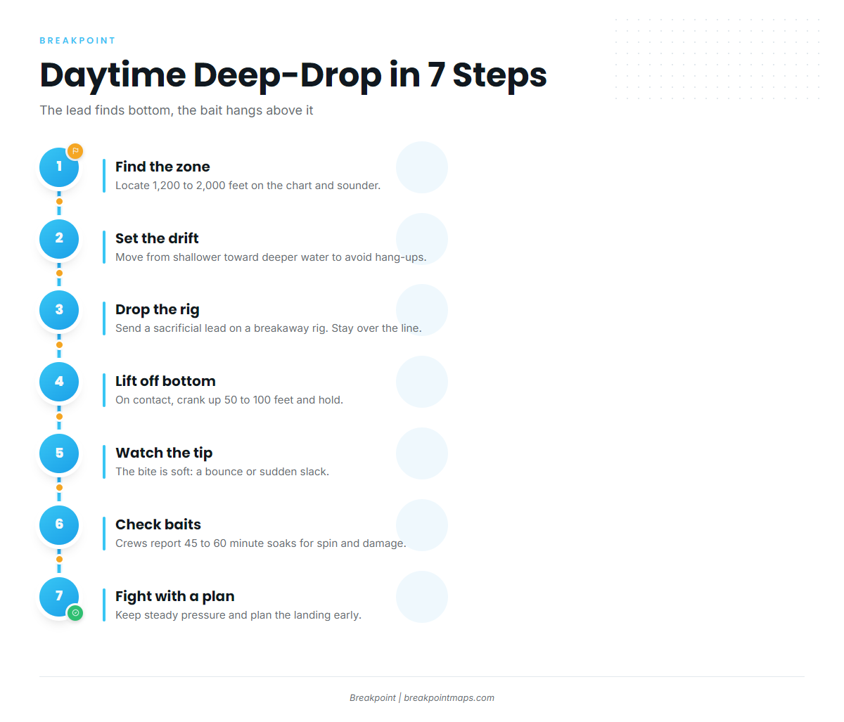 Infographic 4