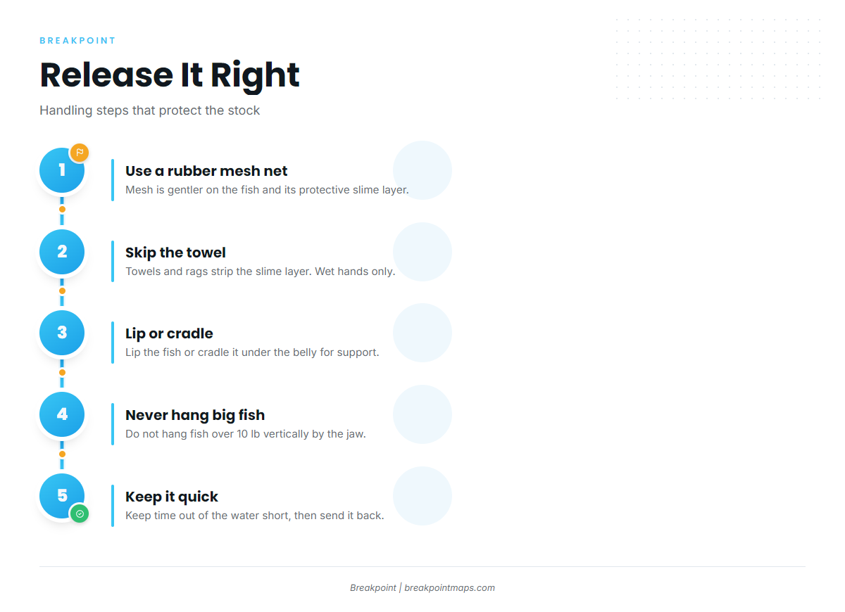 Infographic 4