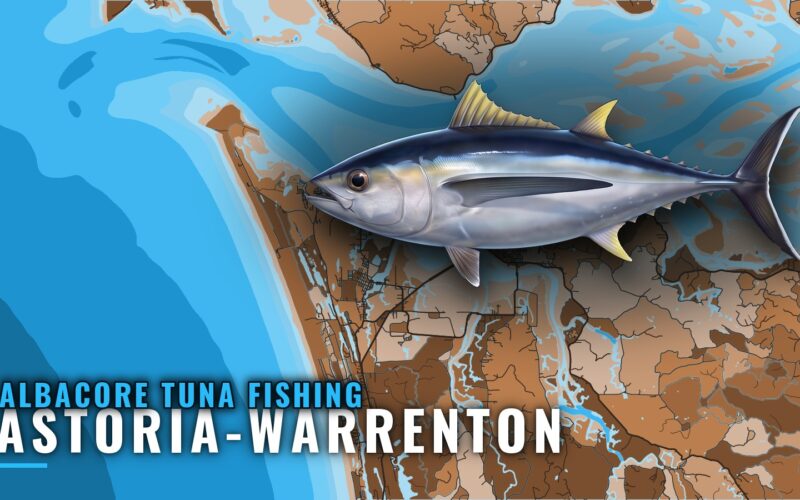 Albacore Tuna Fishing out of Astoria-Warrenton, Oregon