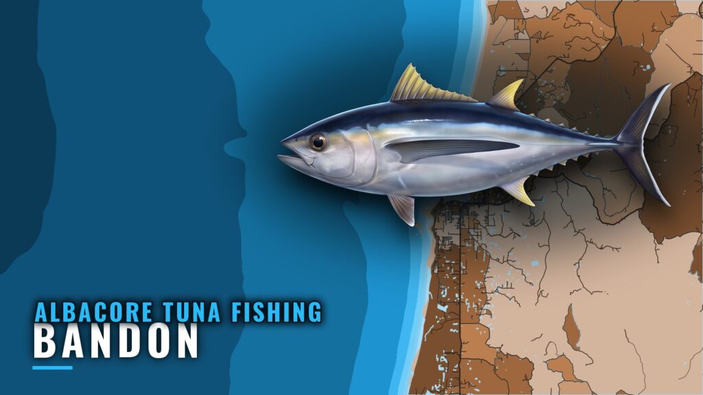 Albacore Tuna Fishing Out of Bandon: Season, Run, Bar