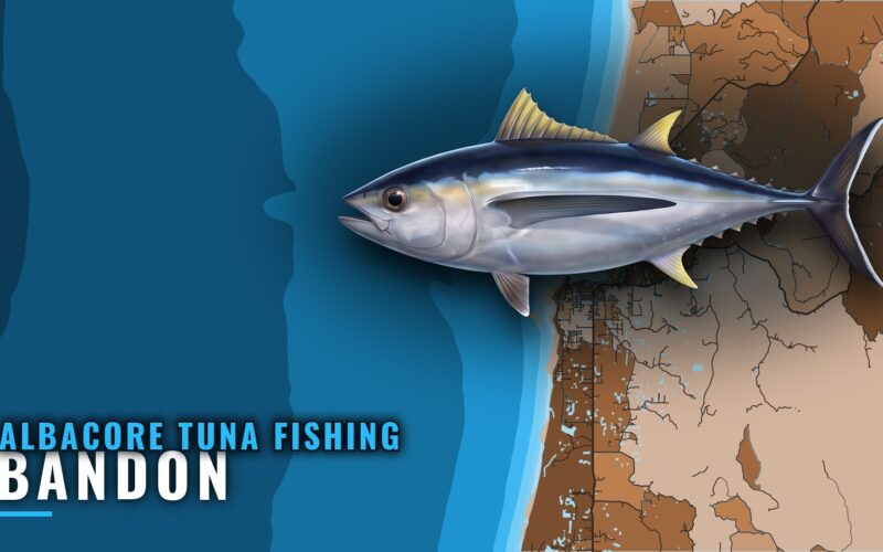 Albacore Tuna Fishing Out of Bandon: Season, Run, Bar