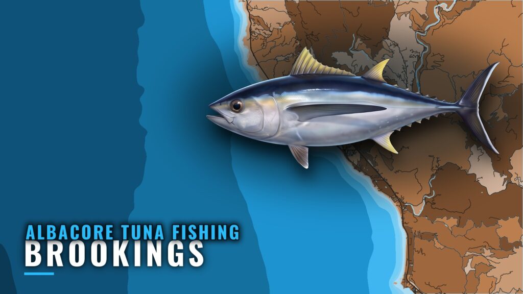 Albacore Tuna Fishing Out of Brookings: Season, Run, Methods