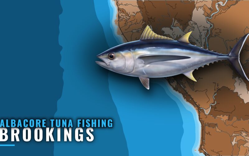 Albacore Tuna Fishing Out of Brookings: Season, Run, Methods