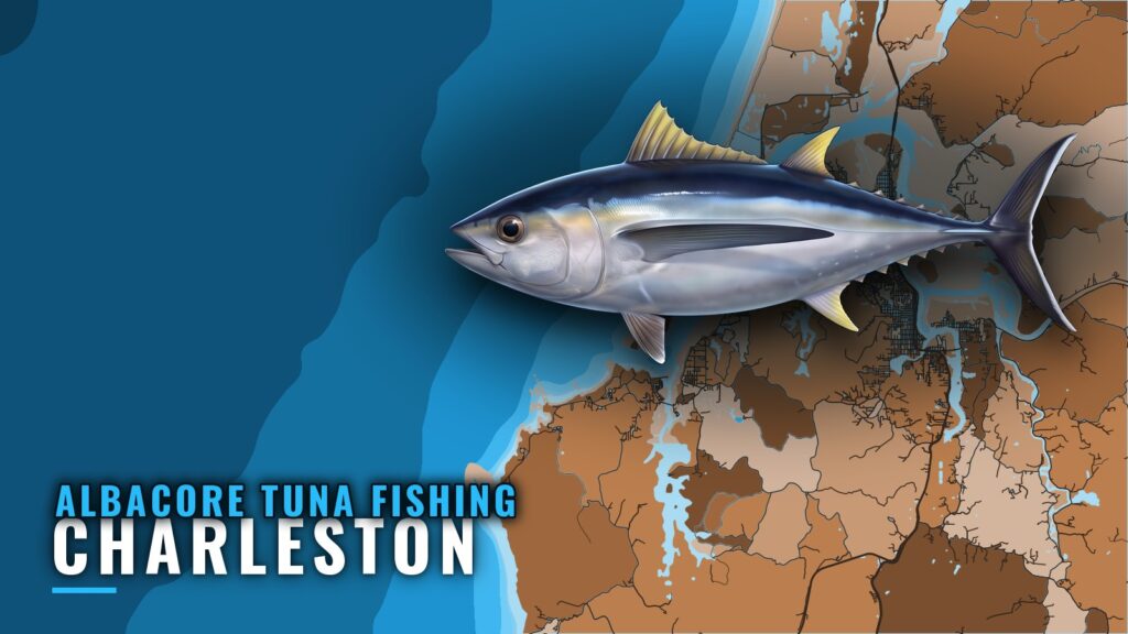 Albacore tuna fishing out of Charleston, Oregon