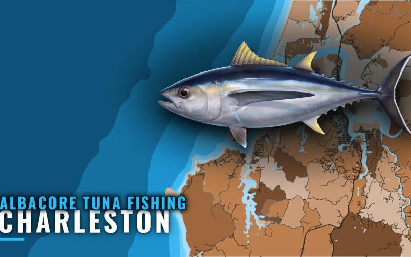 Albacore tuna fishing out of Charleston, Oregon