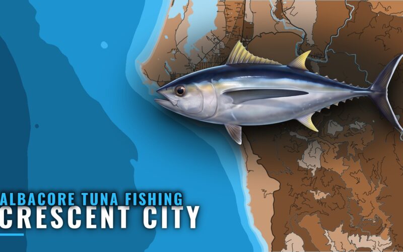 Albacore Tuna Fishing out of Crescent City: Run Guide