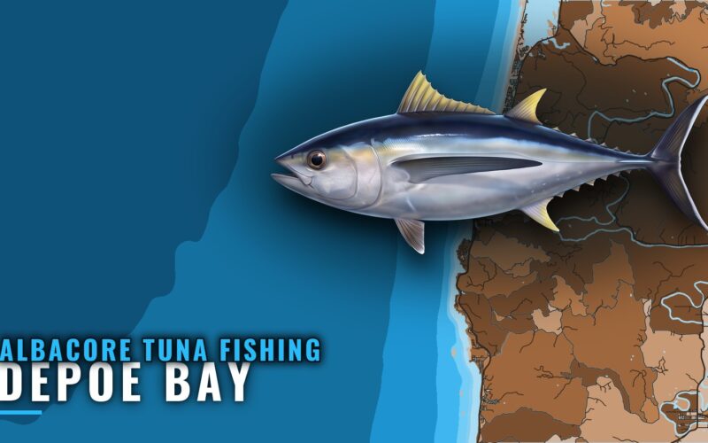 Albacore Tuna Fishing Out of Depoe Bay: When and How Far