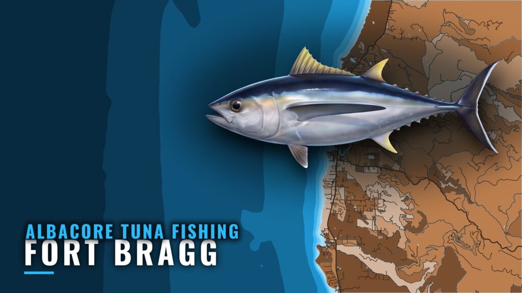 Albacore Tuna Fishing Out of Fort Bragg: Season, Run, Fleet