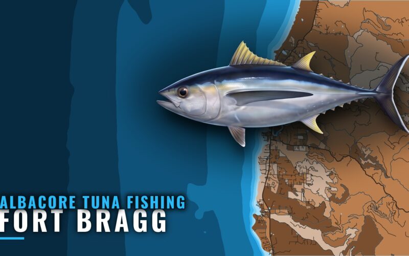Albacore Tuna Fishing Out of Fort Bragg: Season, Run, Fleet