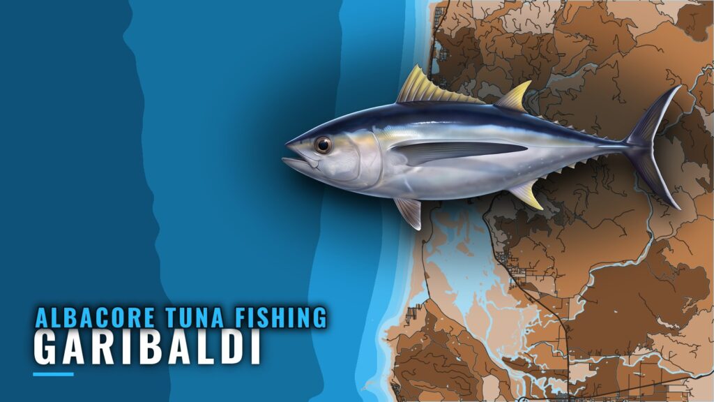 Albacore Tuna Fishing Out of Garibaldi: When, Where, How