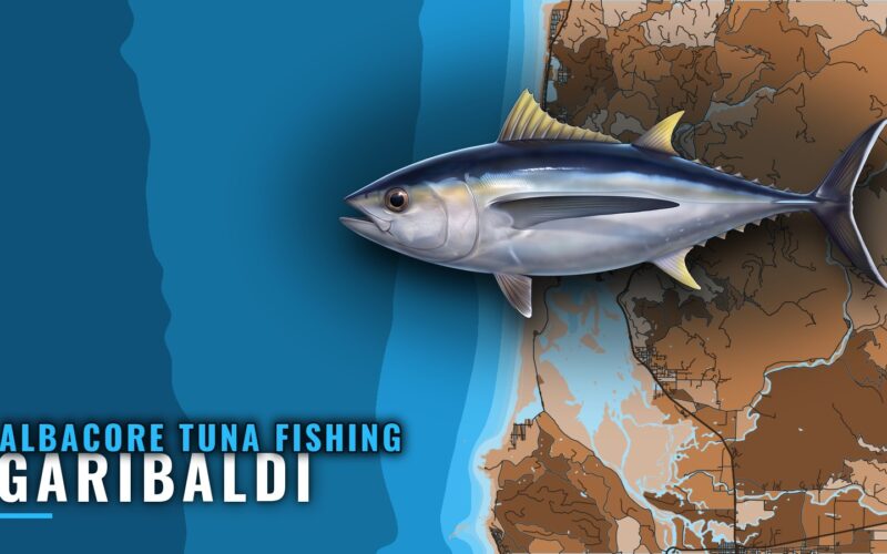 Albacore Tuna Fishing Out of Garibaldi: When, Where, How